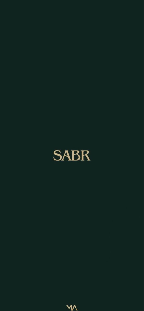 the cover of sabr's book, which is black with gold lettering on it