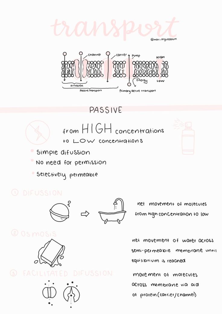 Aesthetic biology cell membrane summary notes for school Membrane Transport Notes, Active Transport Notes, Transport Across Cell Membrane Notes, Passive Transport Notes, Passive Transport Biology, Active Transport Biology Notes, Cell Transport Notes, Active Transport Biology, Passive Transport