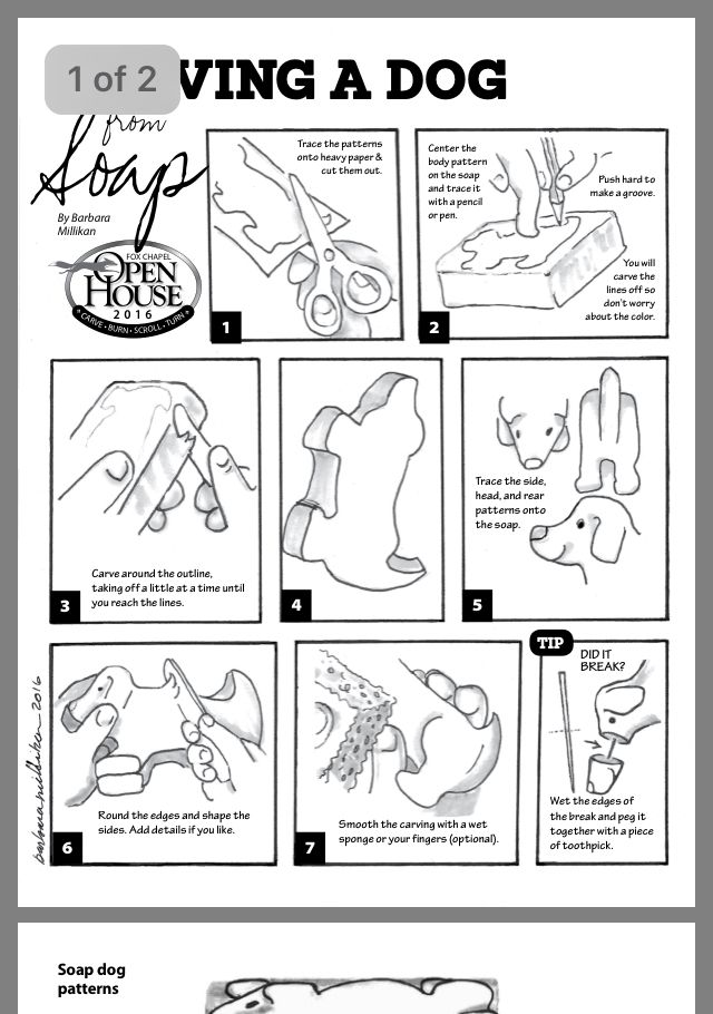 the instructions for how to draw a dog