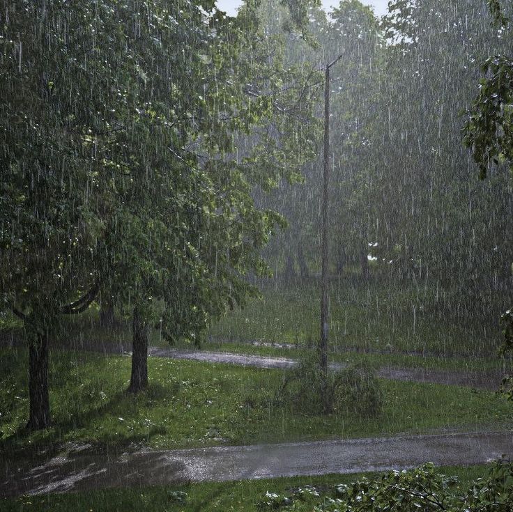 a rain storm is coming down in the park and it looks like it's raining