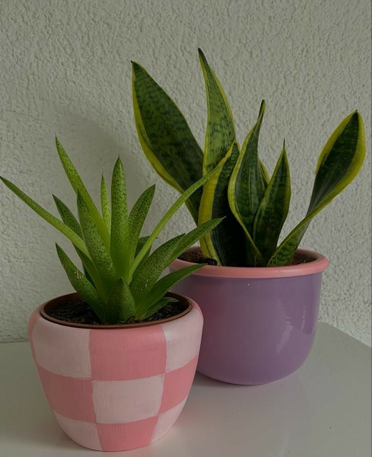 two potted plants sitting on top of a white table next to each other in checkered pots