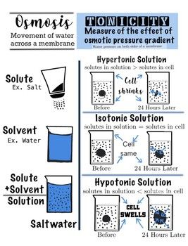 an image of water and its properties