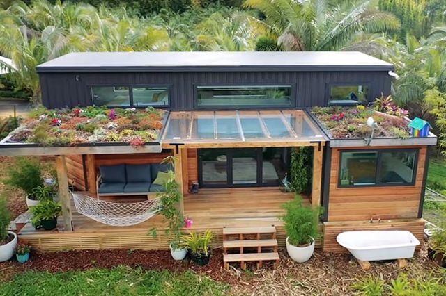 an image of a small house with plants on the roof