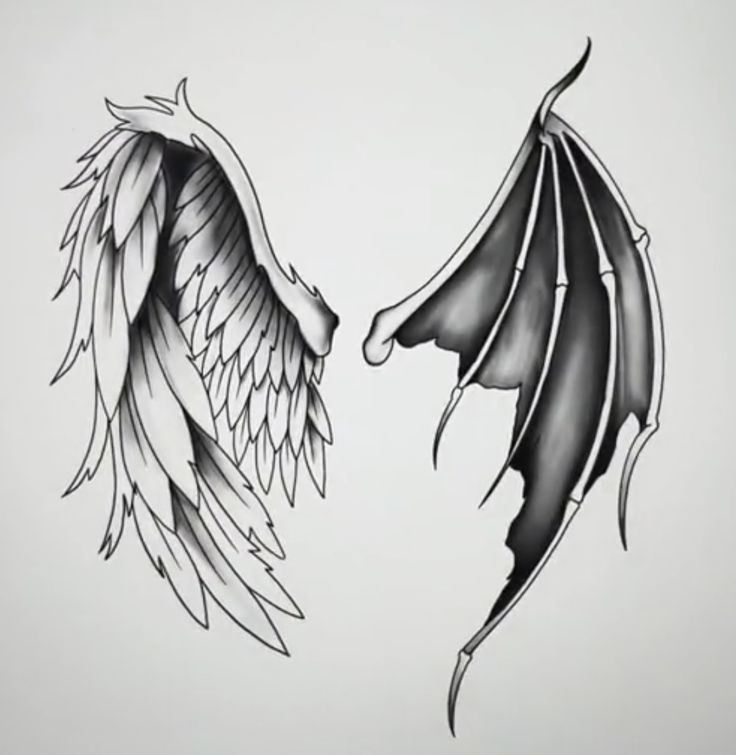 two black and white tattoos with wings on one side, the other half turned to look like