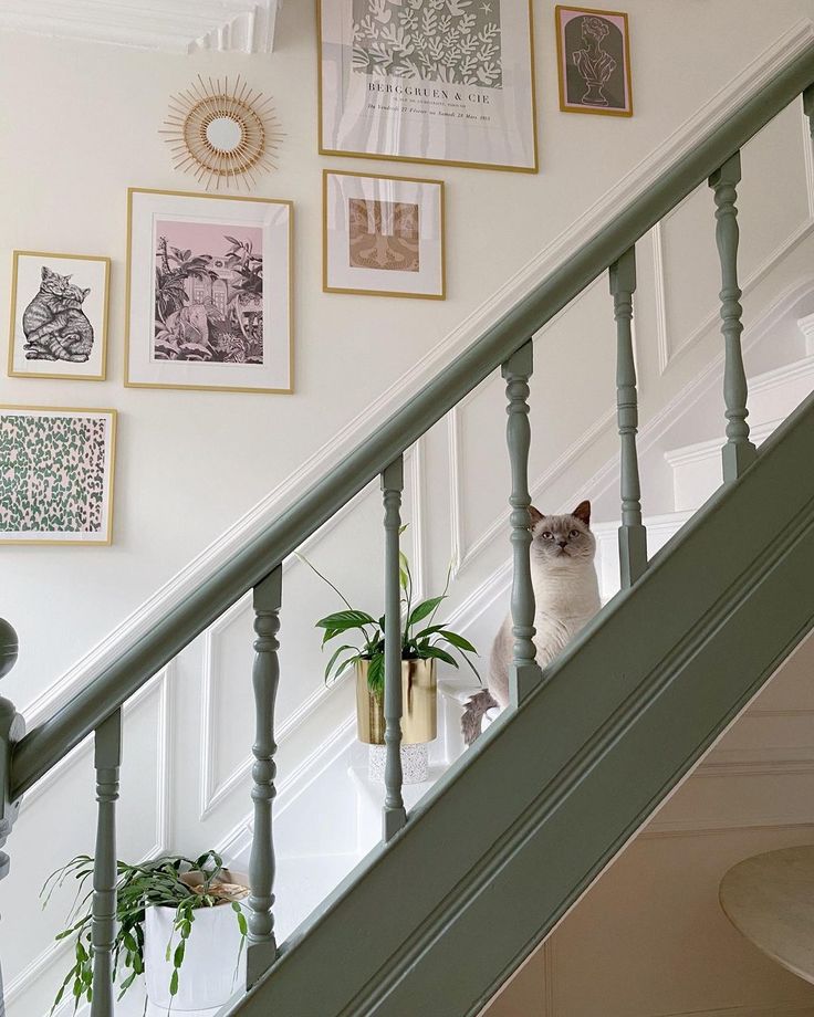 a cat is sitting on the banister next to some potted plants and pictures