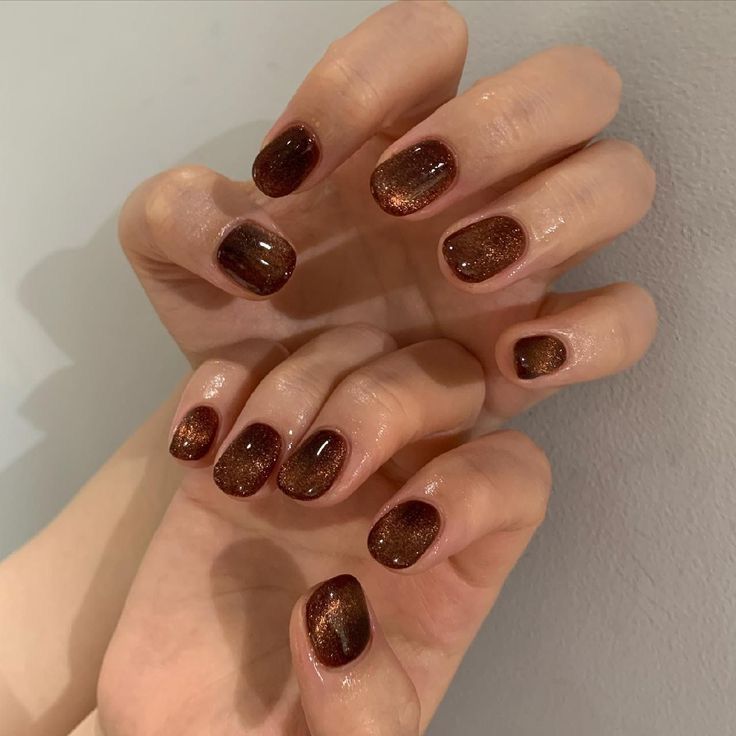 Cat Eye Gel Manicure, Chocolate Brown Cat Eye Nails, Fall Douyin Nails, Dark Brown Cat Eye Nails, Cat's Eye Nails, Brown Cateye Nail, Cat Eye Brown Nails, Sparkly Brown Nails, Dip Short Nails