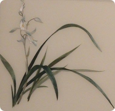 a white flower and some green leaves on a wall