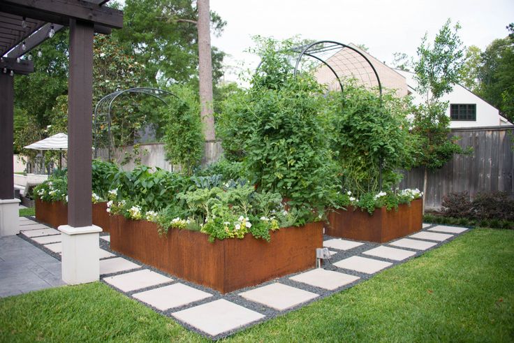 an outdoor garden with many plants growing in it