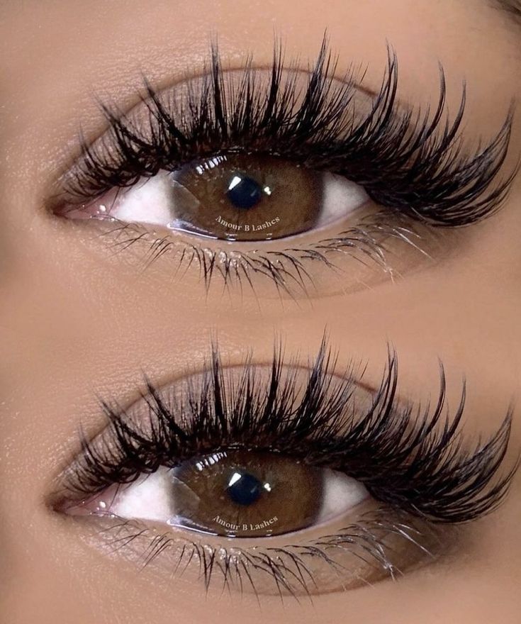 Lash Map, Natural Fake Eyelashes, Lash Training, Lashes Fake Eyelashes, Cat Eye Lash, Eyelash Extensions Styles, Lash Extensions Styles, Lash Sets, Perfect Eyelashes