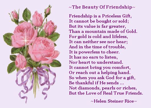 a poem with pink roses and purple ribbon on the bottom reads,'the beauty of friendship '