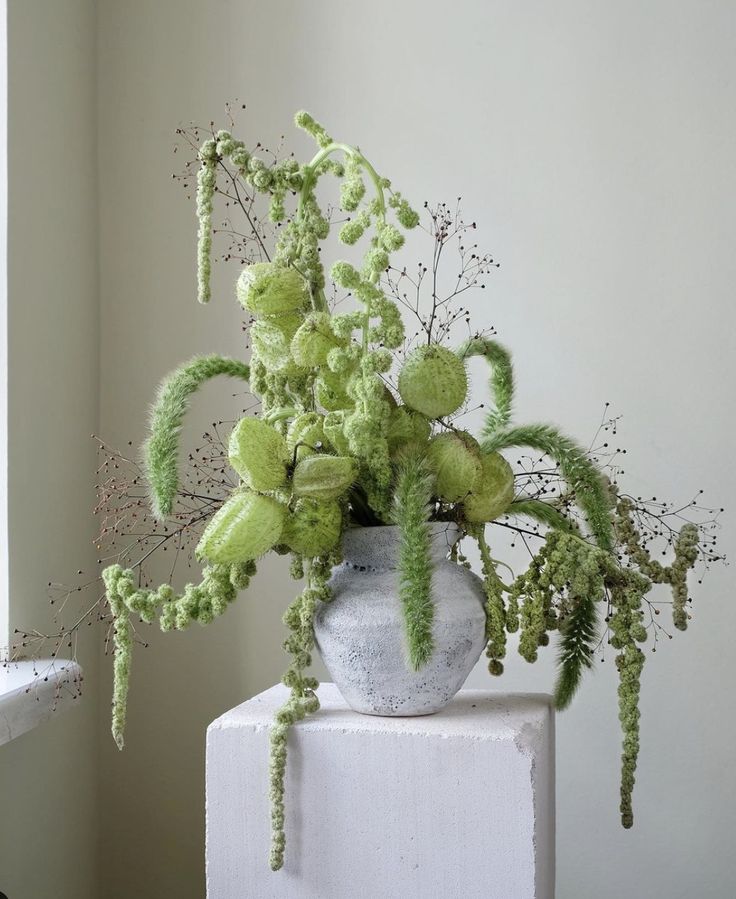 a vase filled with green flowers on top of a white block