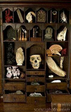 an old wooden bookcase with skulls and other items on it's shelves in a room