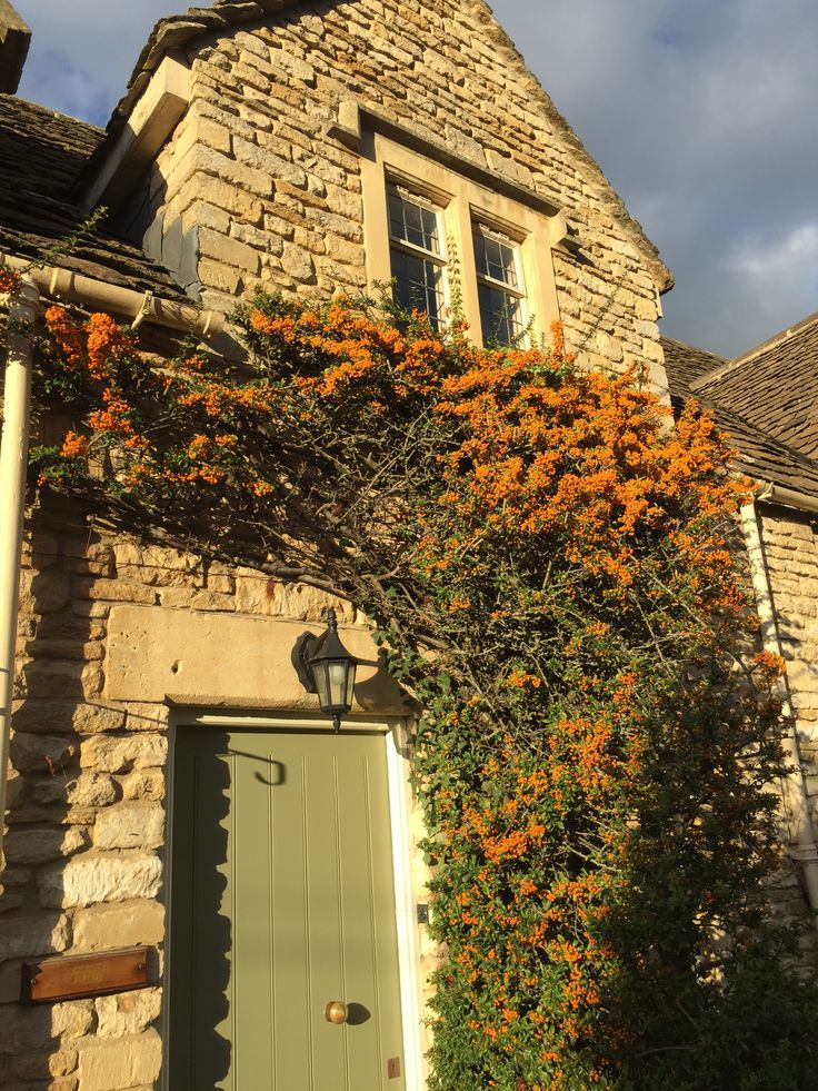 an old brick building with orange flowers growing on it's side and a green door