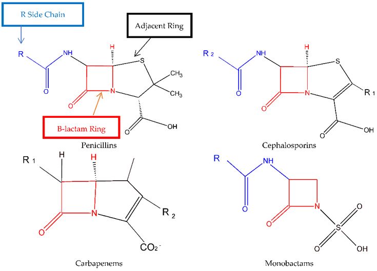 Pharmacy | Free Full-Text | The Basics of Penicillin Allergy: What A Clinician Should Know Penicillin Allergy, Antimicrobial Resistance, Cohort Study, Allergy Asthma, Infectious Diseases, Meta Analysis, Google Scholar, Second Line, American Heart Association