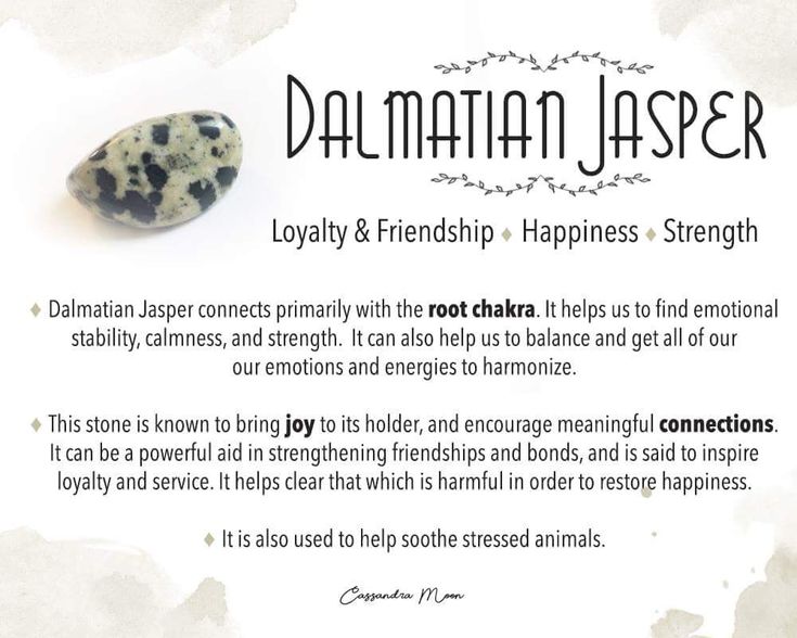 Dalmation Jasper Crystal Meaning, White Turquoise Meaning, Crystal Dictionary, Leo Birthstone, Pictures Of Crystals, Stone Meanings, Crystal Seashells, How To Wear Rings, Chakra Root