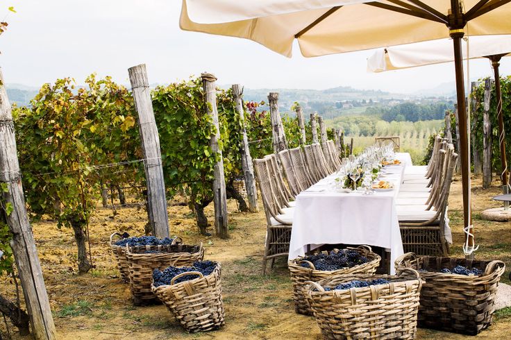 an outdoor dining area with wicker chairs and table set up for two, surrounded by vines