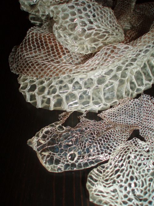 several pieces of glass sitting on top of a wooden table