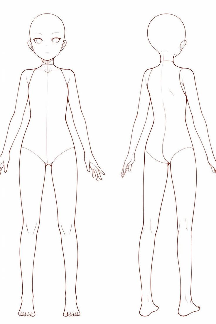 an outline drawing of a person's body and torso