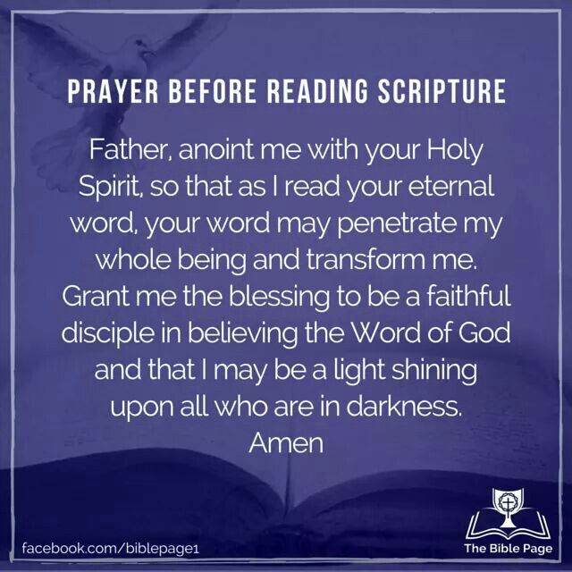 an open book with the words prayer before reading scripture on it, in front of a purple background