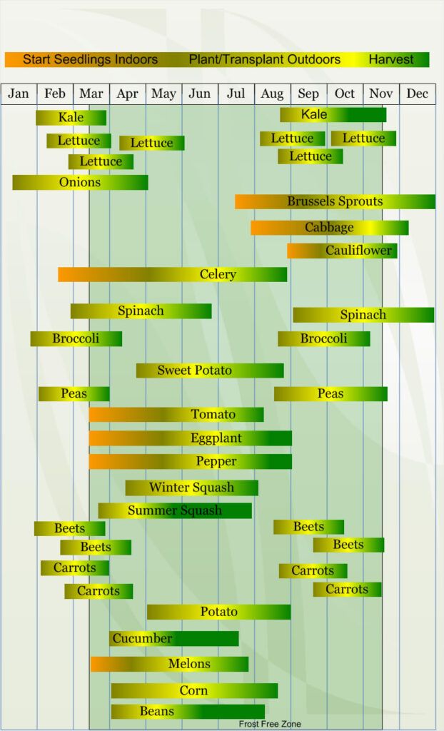 the zone 8 schedule is shown in green and yellow