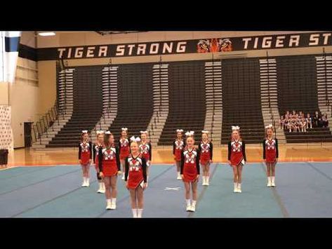 a group of cheerleaders standing on top of a basketball court