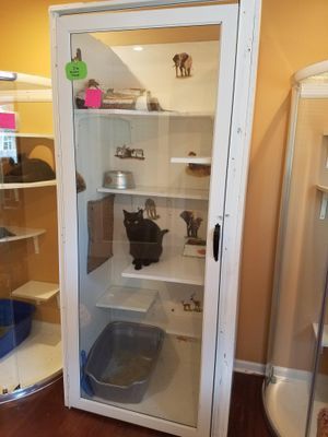 a glass display case with cats in it on top of a hard wood floored floor