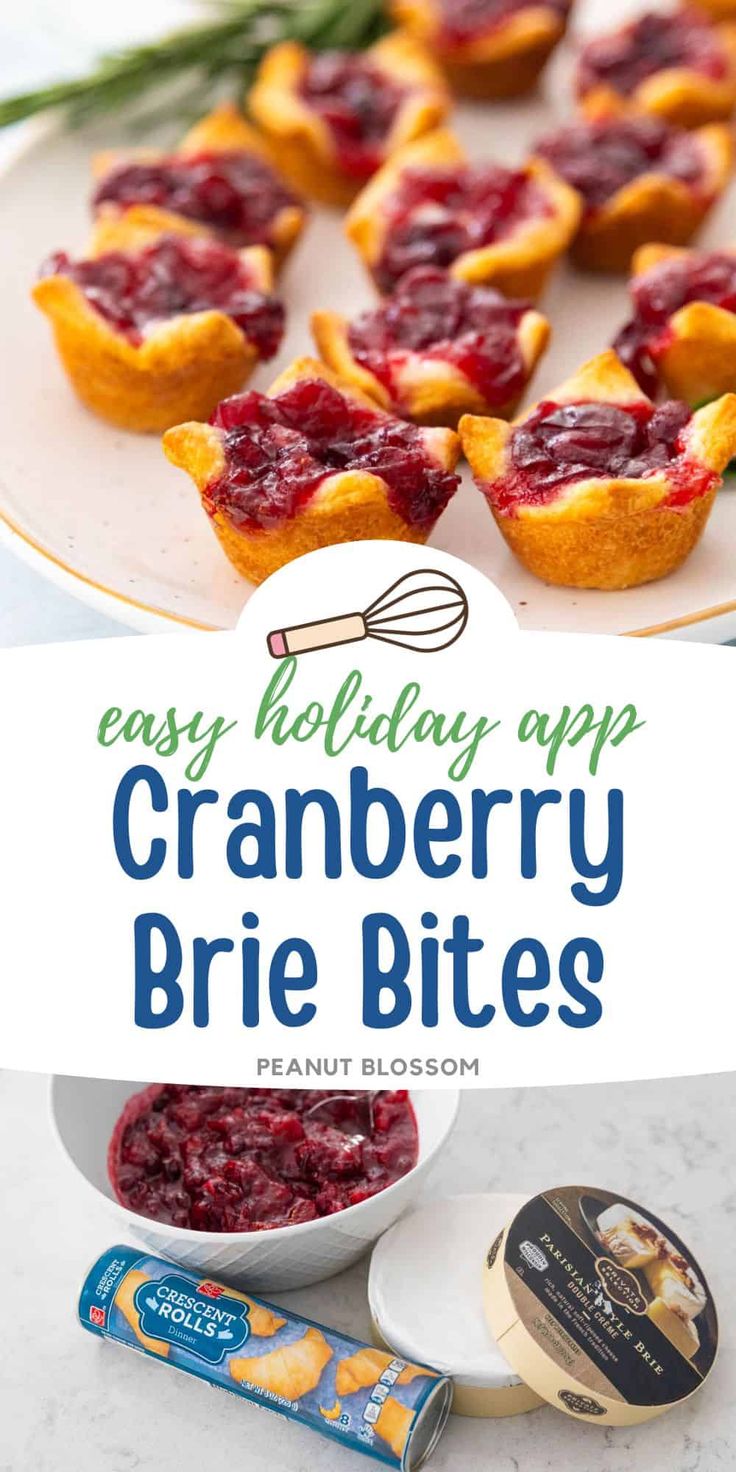 cranberry brie bites on a plate with the title overlay