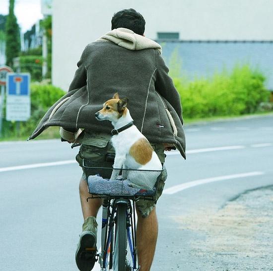 a man riding a bike with a dog in the back seat and his jacket on