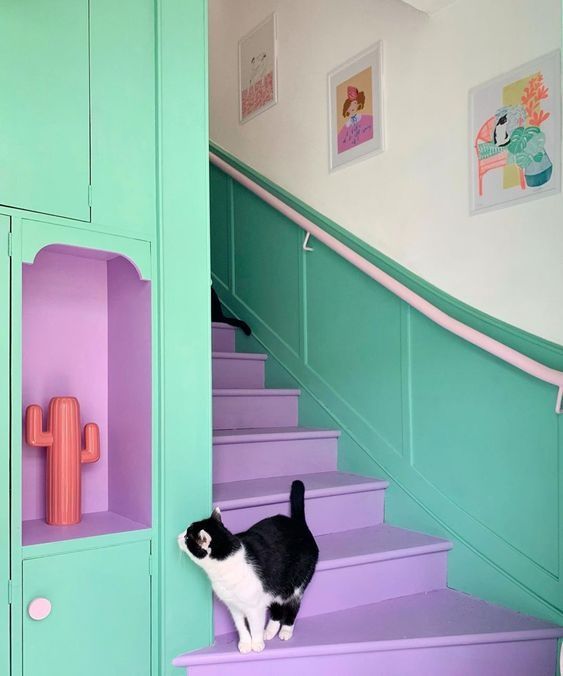 a black and white cat standing on some purple steps