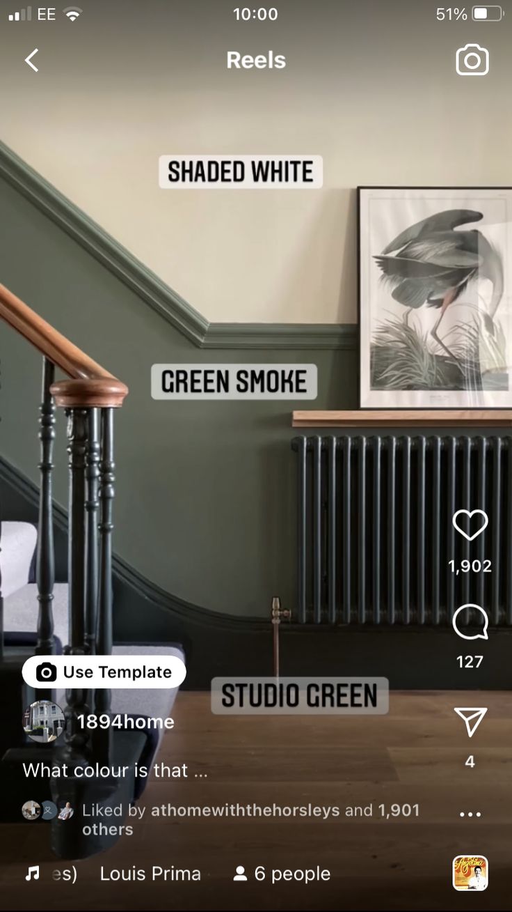 Green And White Staircase, Green Stair Panelling, Black Hallways And Stairs, Black Stairs Green Wall, Dark Green Hallway And Stairs, Panelled Hallway Colour Ideas, Sage And Grey Hallway, Green Painted Hallway, Staircase Dado Rail