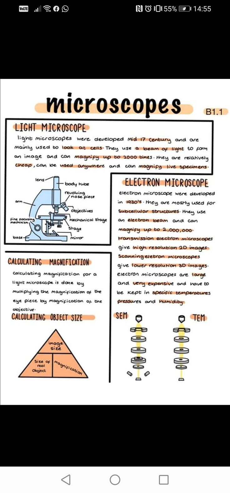 a computer screen with an image of microscopes and diagrams on the bottom right hand corner