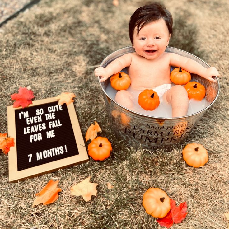 a baby sitting in a bucket with pumpkins around it and a sign that says i'm so cute leave the leaves fall for me 7 months