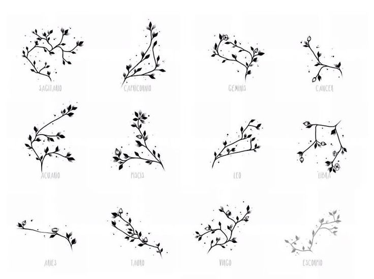 the different types of flowers are shown in black and white