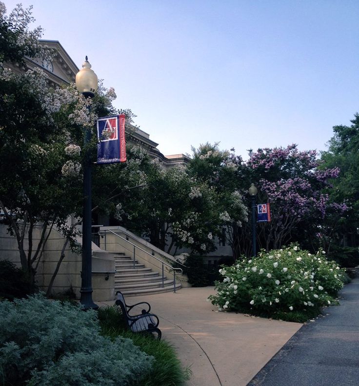 a bench sitting on the side of a sidewalk next to trees and bushes in front of a building