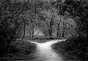 a black and white photo of a path in the woods