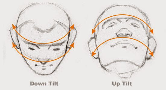 an image of a man's head with arrows pointing to the right and left sides