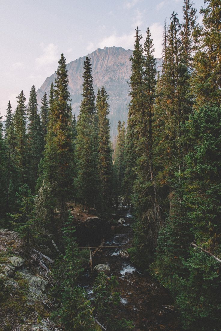 Rocky Mountain Glow, Colorado | Wild Places Photos - National Parks & Wilderness Backpacking Photography, Places Photos, Backpacking Routes, Adventure Ideas, Backcountry Camping, Park Photography, Pretty Landscapes, Rocky Mountain National, Rocky Mountain National Park