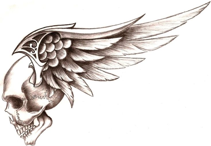 a drawing of a skull with wings on it's head and a skull in the middle