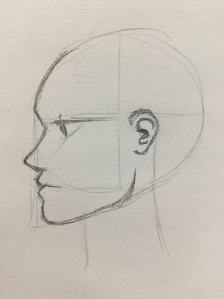 a drawing of a man's head with glasses