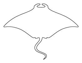 a drawing of a manta rayfish in black and white on a white background