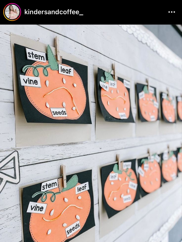 an assortment of pumpkins are hanging on the wall with clothes pins attached to them