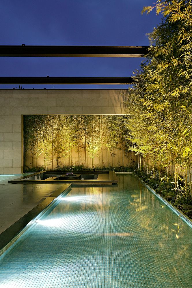 an outdoor swimming pool surrounded by greenery and trees at night with the lights on