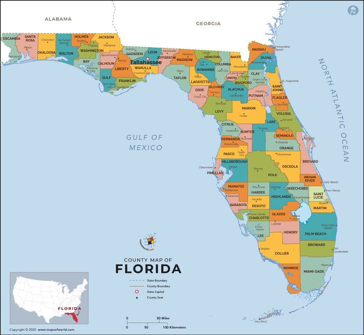 a map of the state of florida with all states and major cities on it's borders