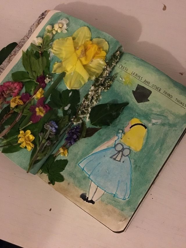 an open book with flowers on it and a drawing of a girl in a blue dress