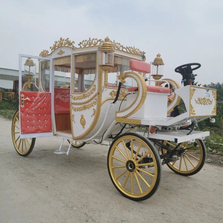 a fancy horse drawn carriage with gold trimmings