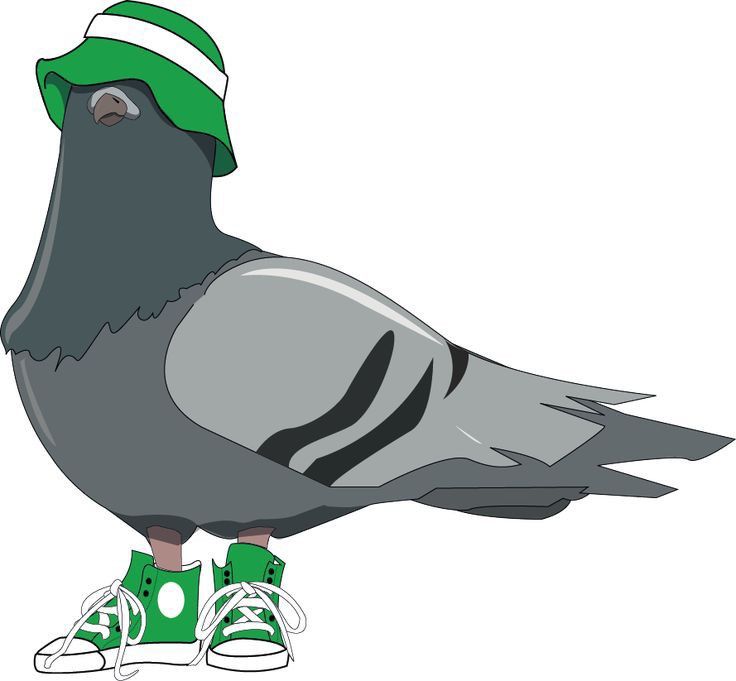 a pigeon with a green hat and tennis shoes