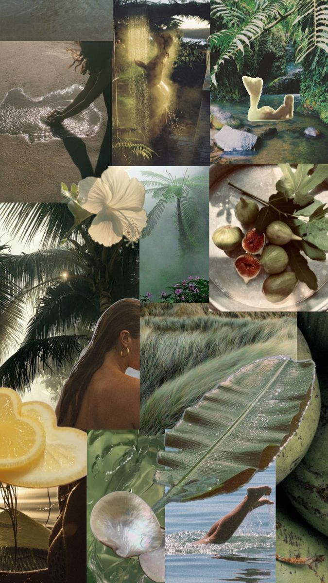 a collage of photos with different plants and fruit in them, including bananas, lemons, watermelon, palm trees, and leaves