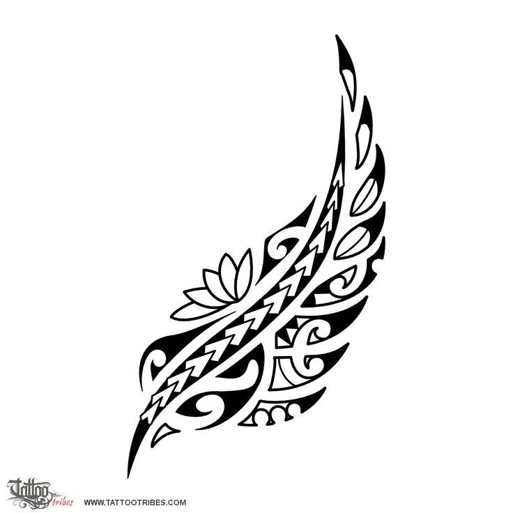 a black and white drawing of a bird with intricate designs on it's wings