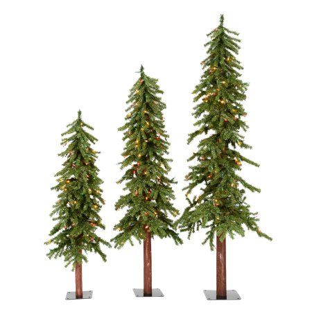 three small trees are standing in front of each other