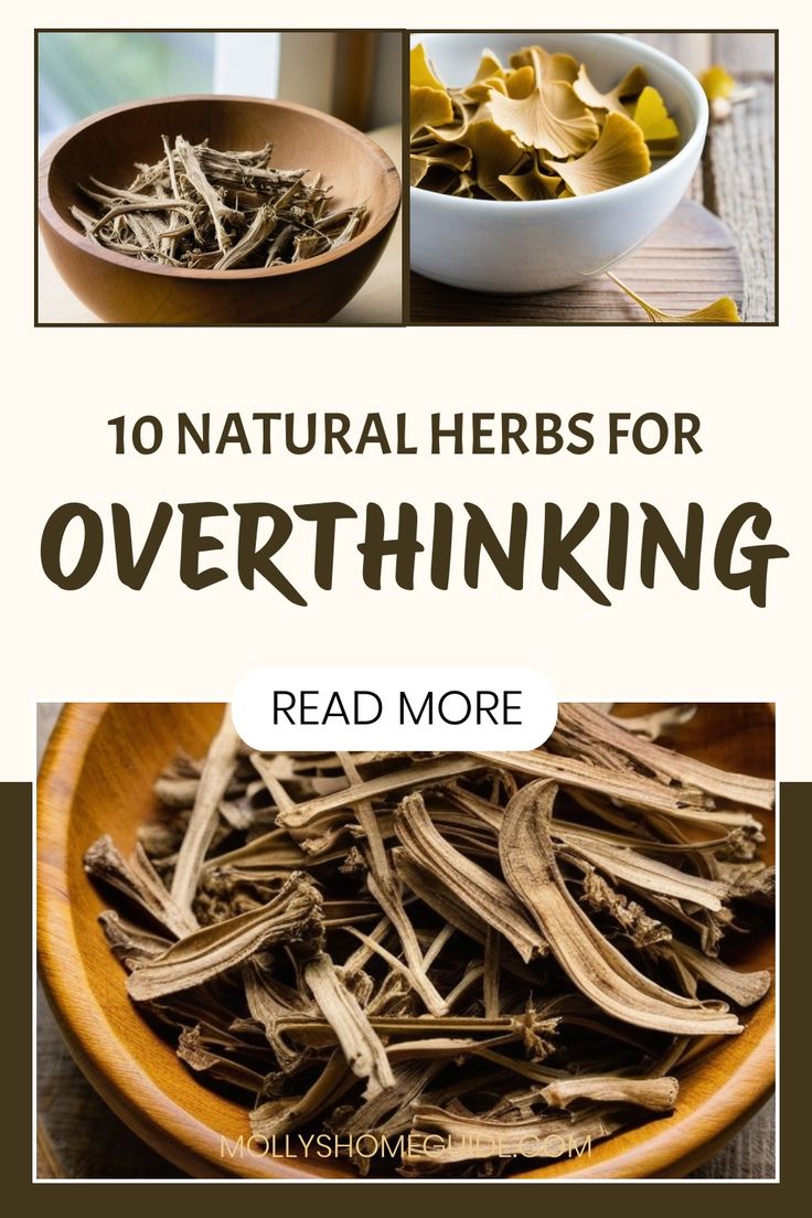 the cover of 10 natural herbs for overthiking